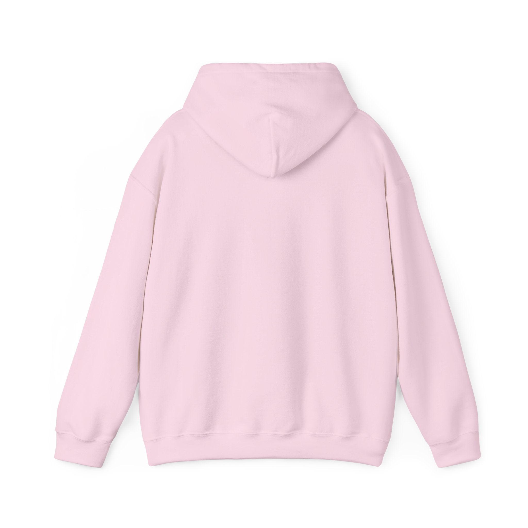 Plain Unisex Heavy Blend™ Hooded Sweatshirt
