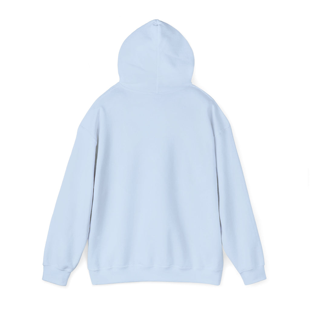 Plain Unisex Heavy Blend™ Hooded Sweatshirt