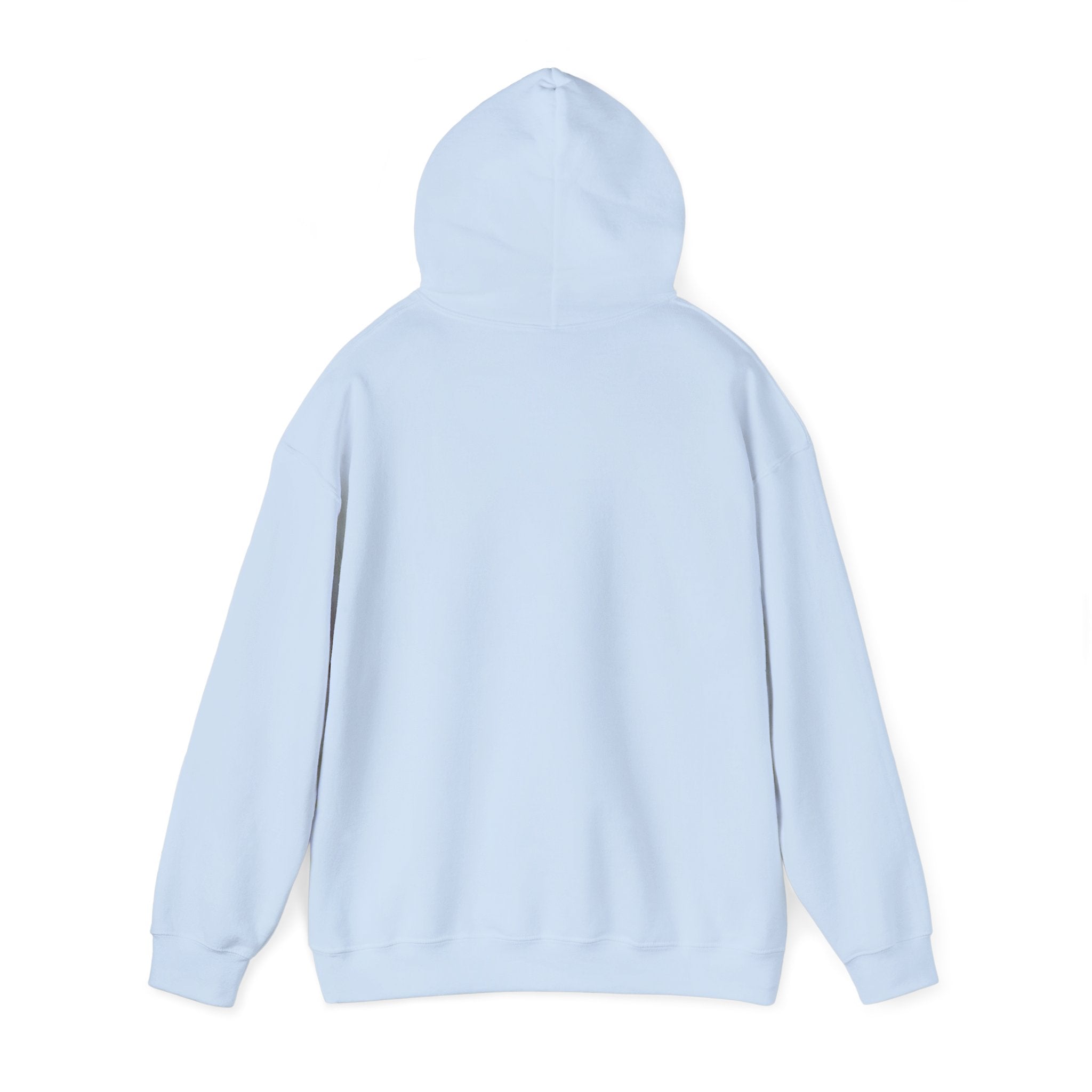 Plain Unisex Heavy Blend™ Hooded Sweatshirt