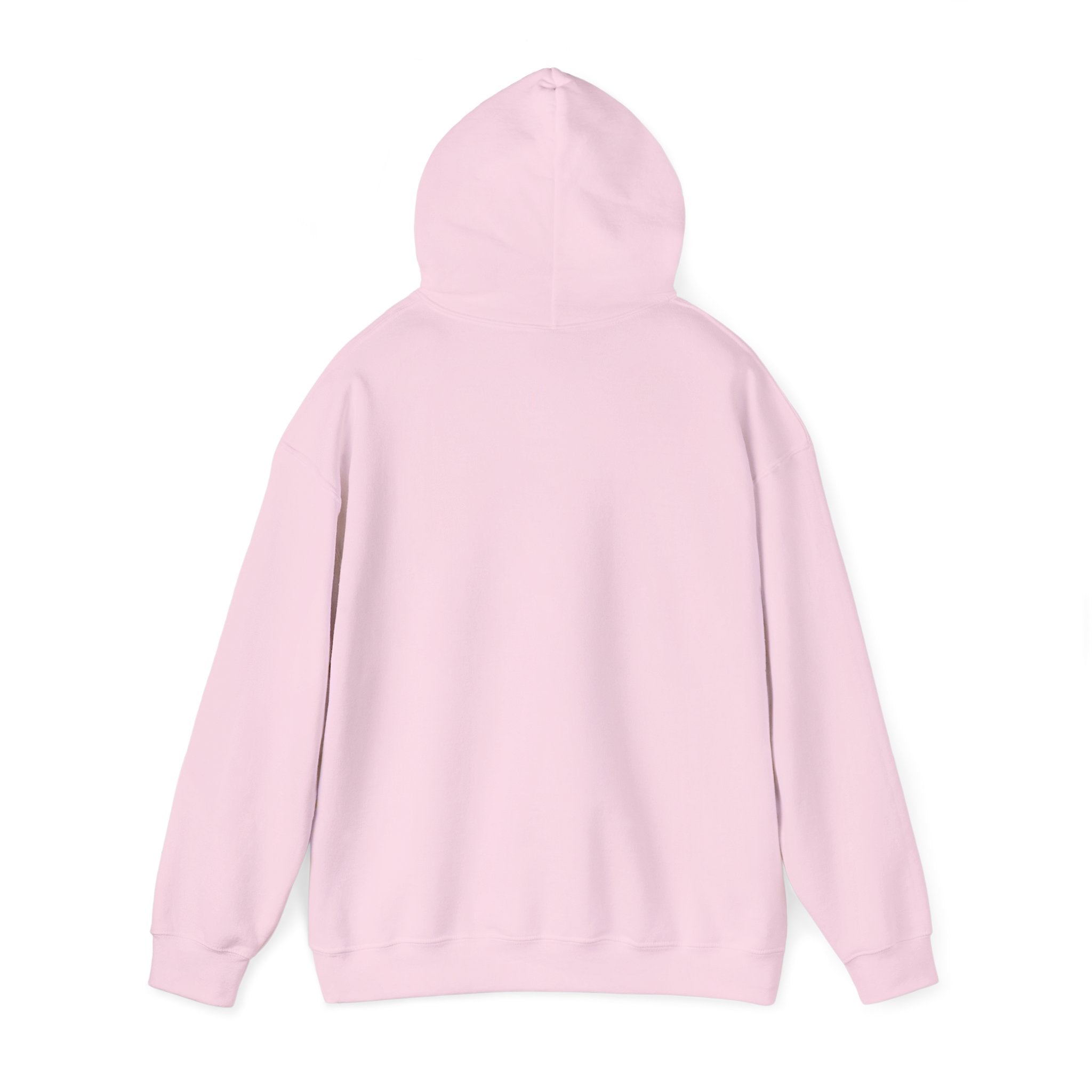 Plain Unisex Heavy Blend™ Hooded Sweatshirt