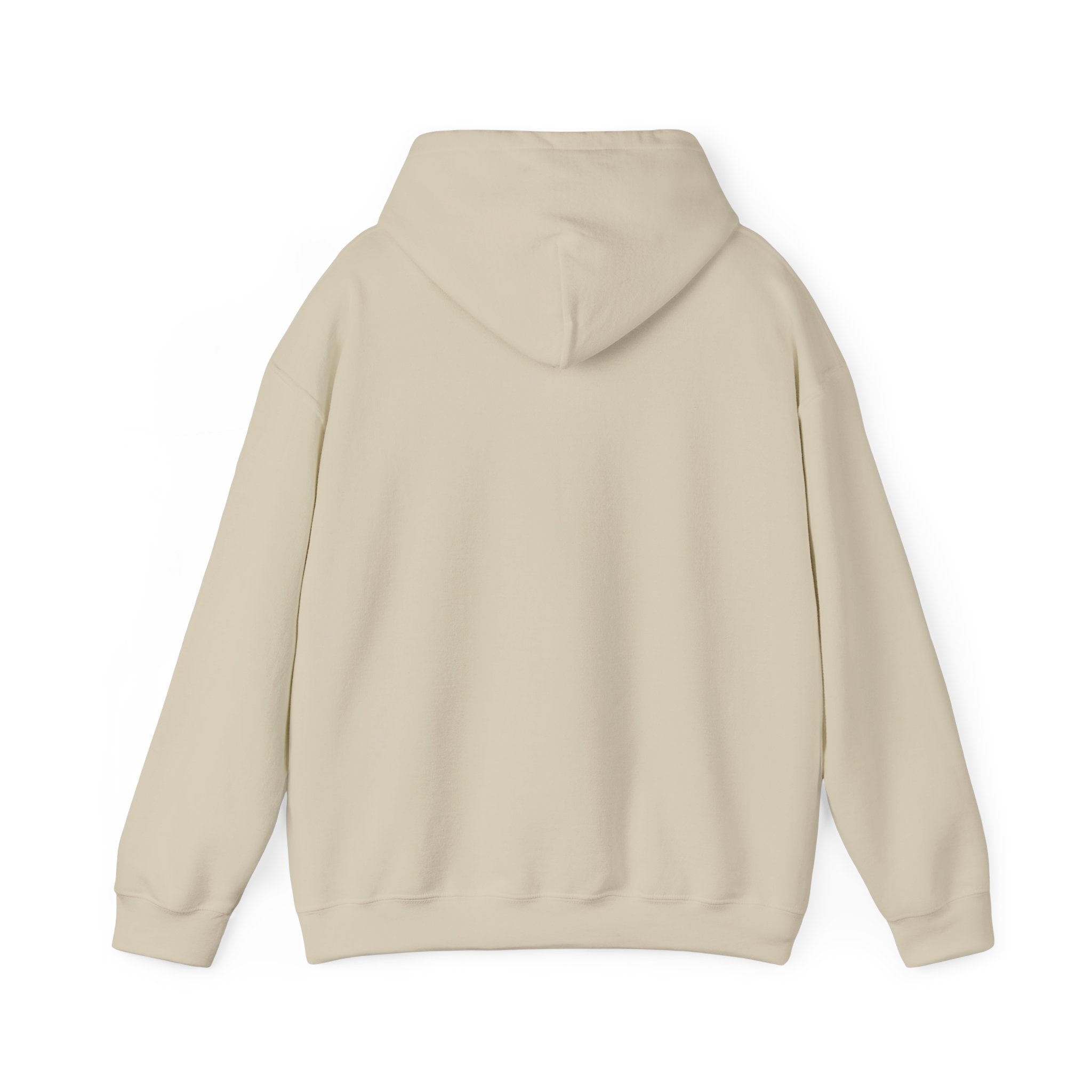 Plain Unisex Heavy Blend™ Hooded Sweatshirt