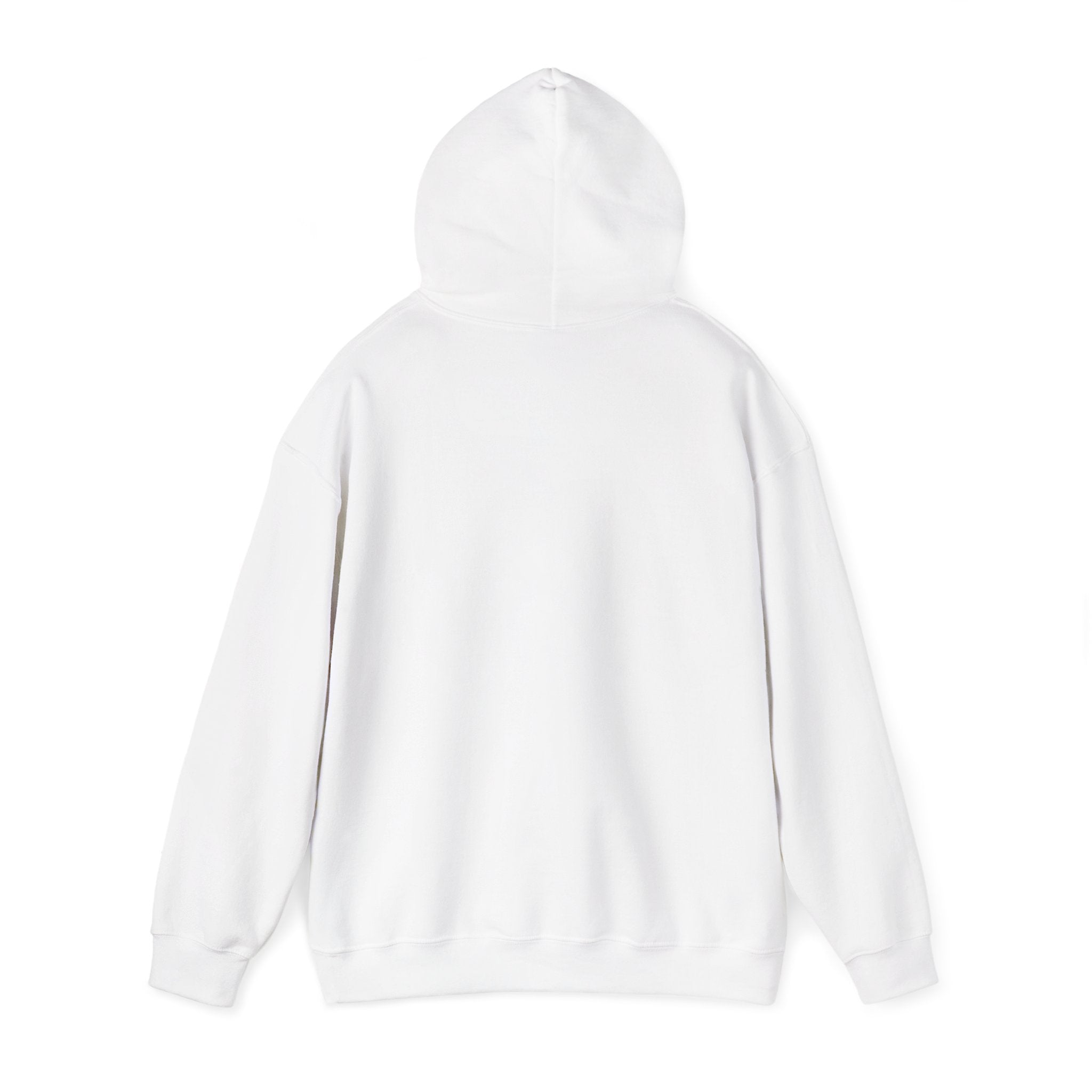 Plain Unisex Heavy Blend™ Hooded Sweatshirt