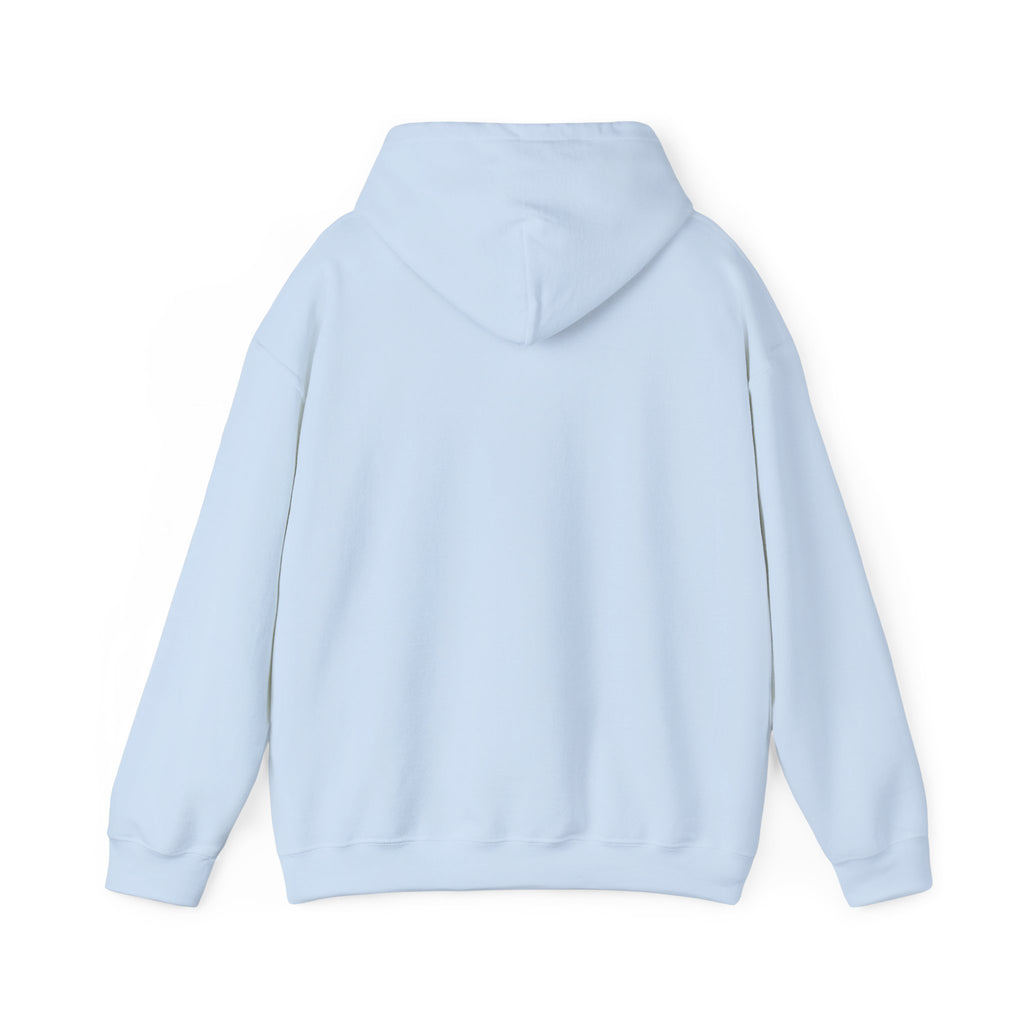 Plain Unisex Heavy Blend™ Hooded Sweatshirt