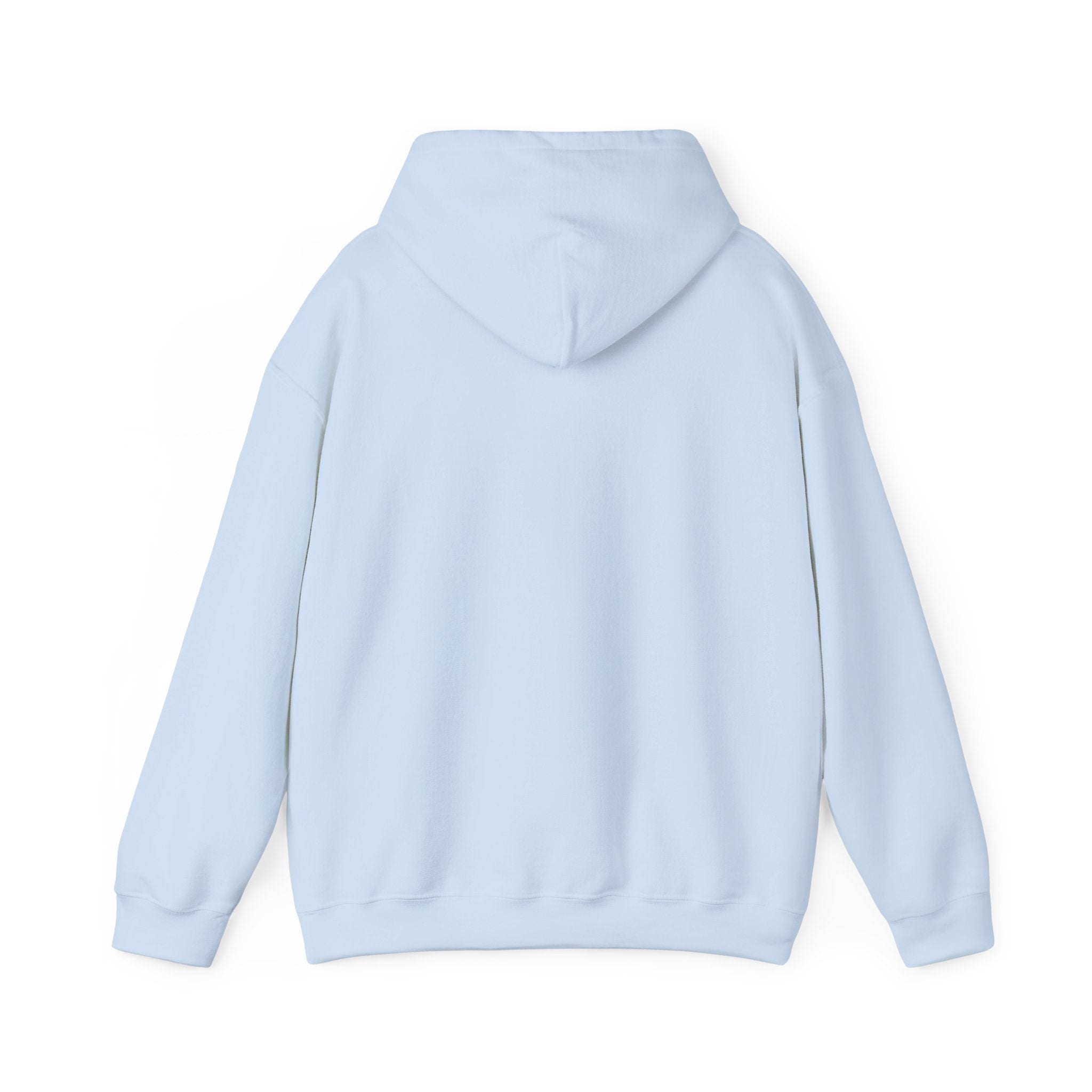 Plain Unisex Heavy Blend™ Hooded Sweatshirt