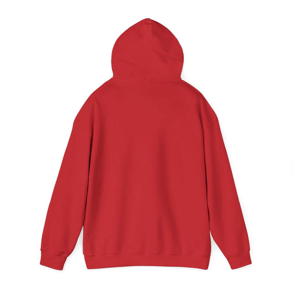 Plain Unisex Heavy Blend™ Hooded Sweatshirt
