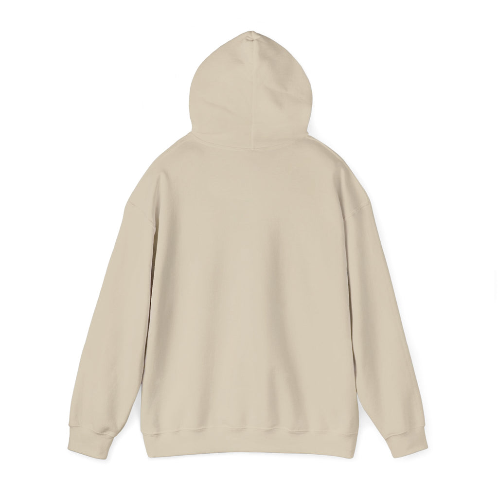 Plain Unisex Heavy Blend™ Hooded Sweatshirt