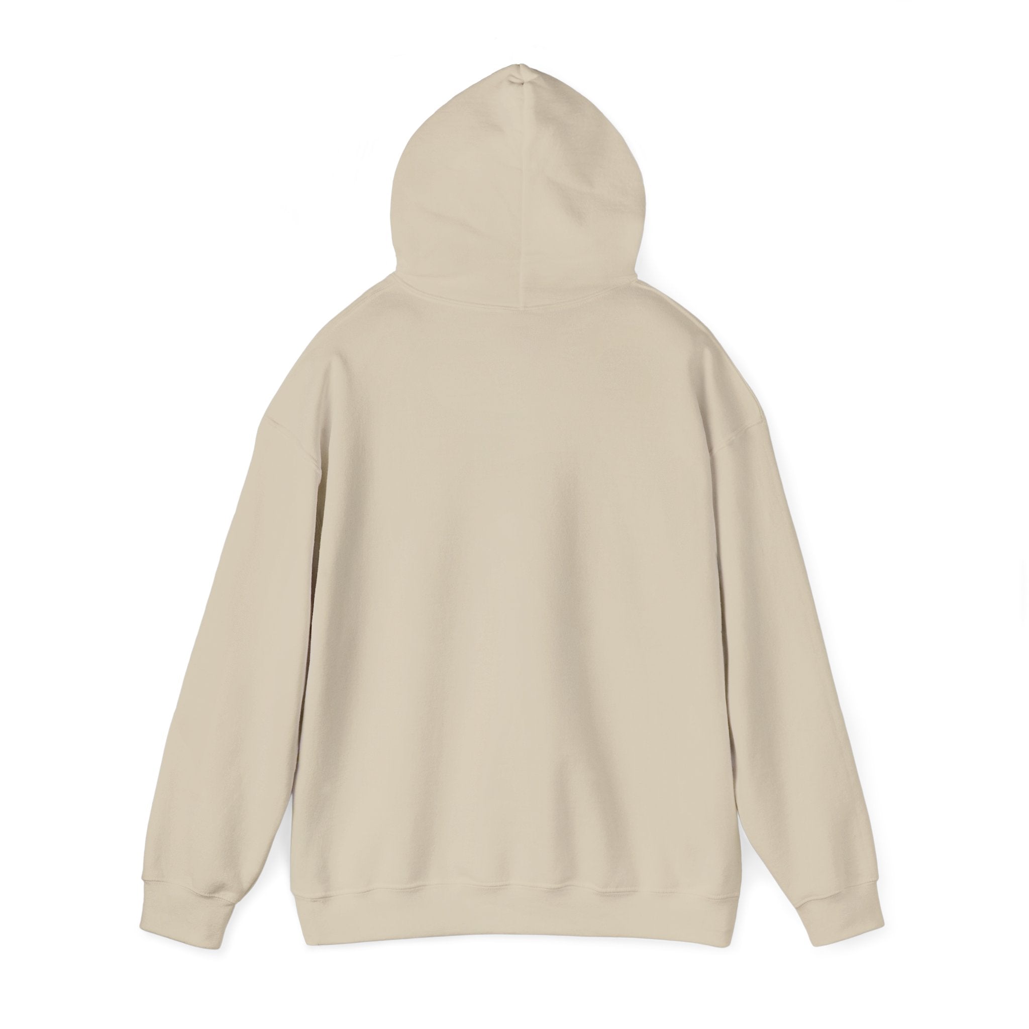 Plain Unisex Heavy Blend™ Hooded Sweatshirt