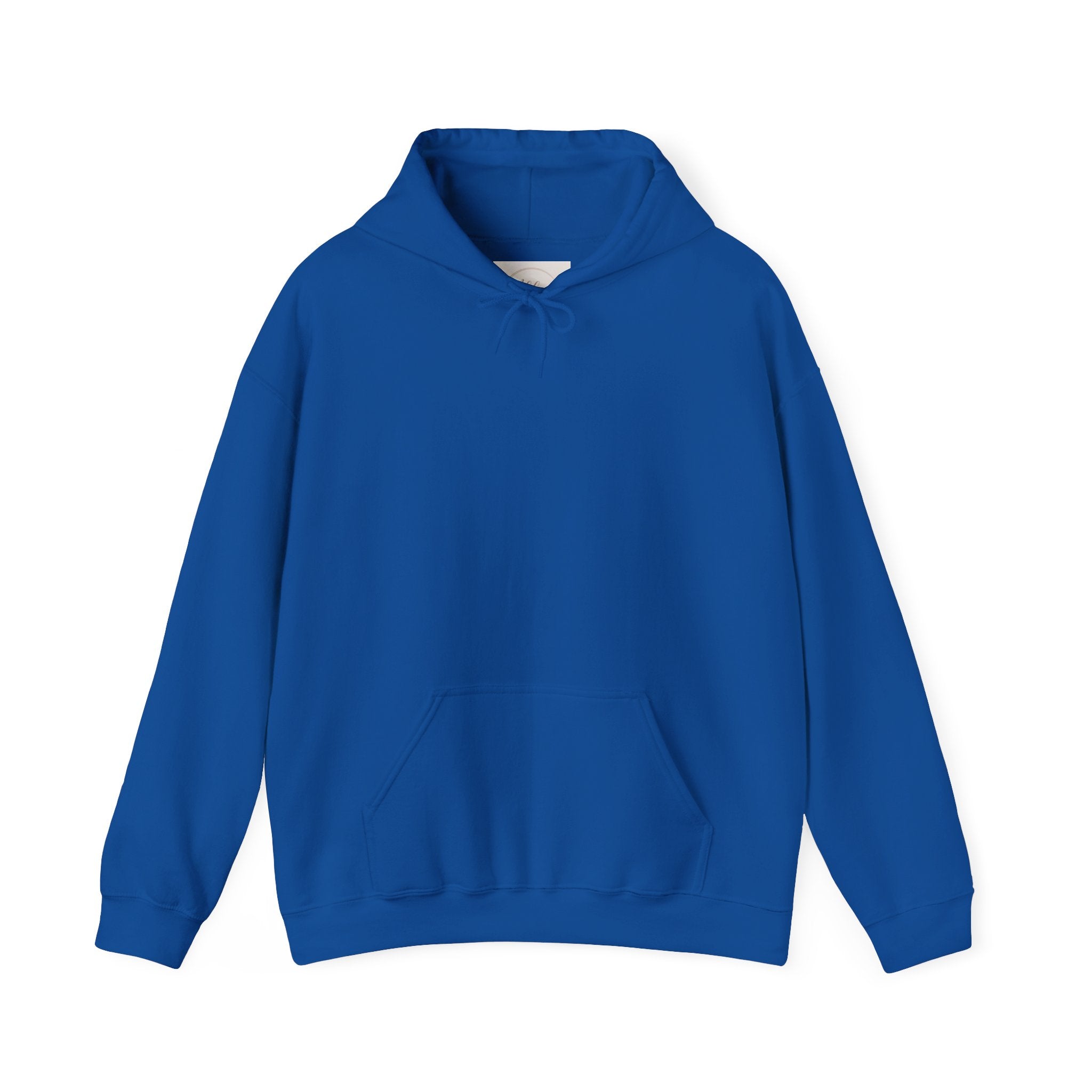 Plain Unisex Heavy Blend™ Hooded Sweatshirt