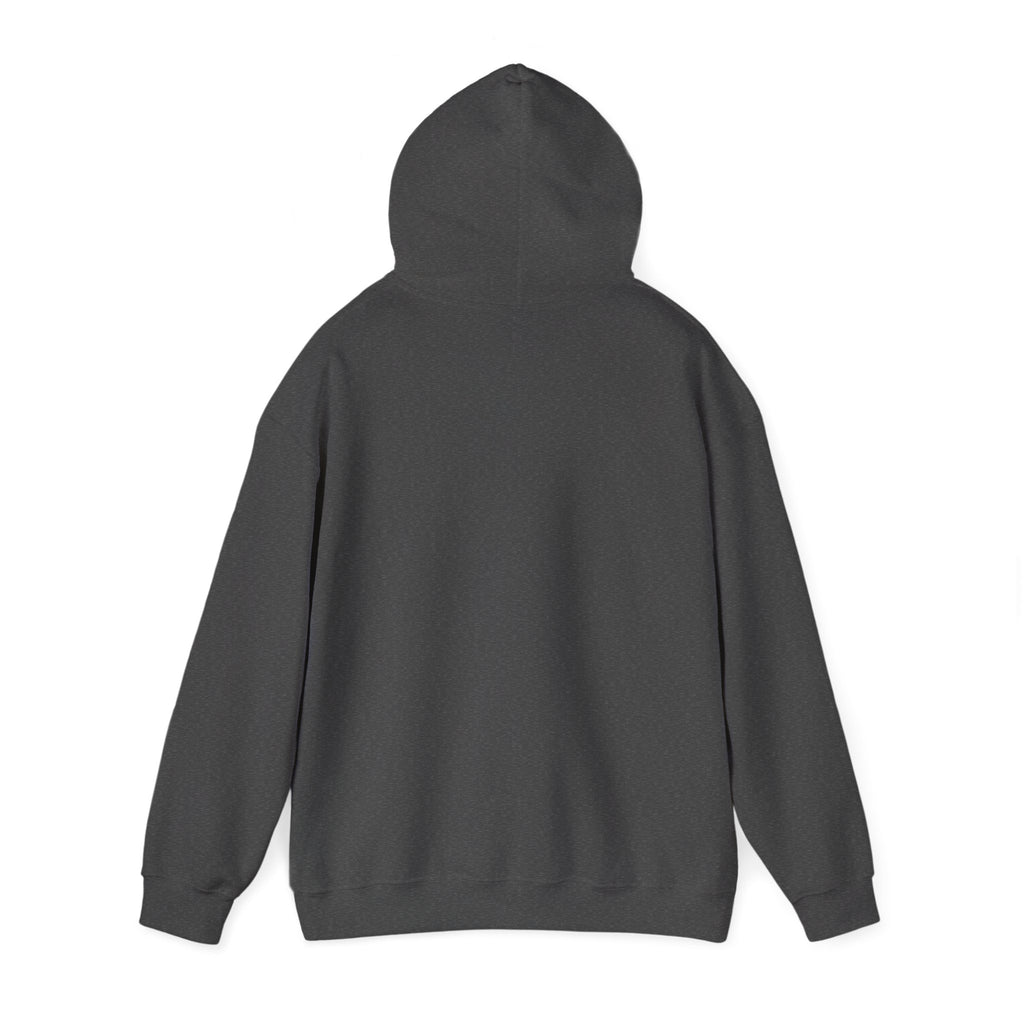 Plain Unisex Heavy Blend™ Hooded Sweatshirt