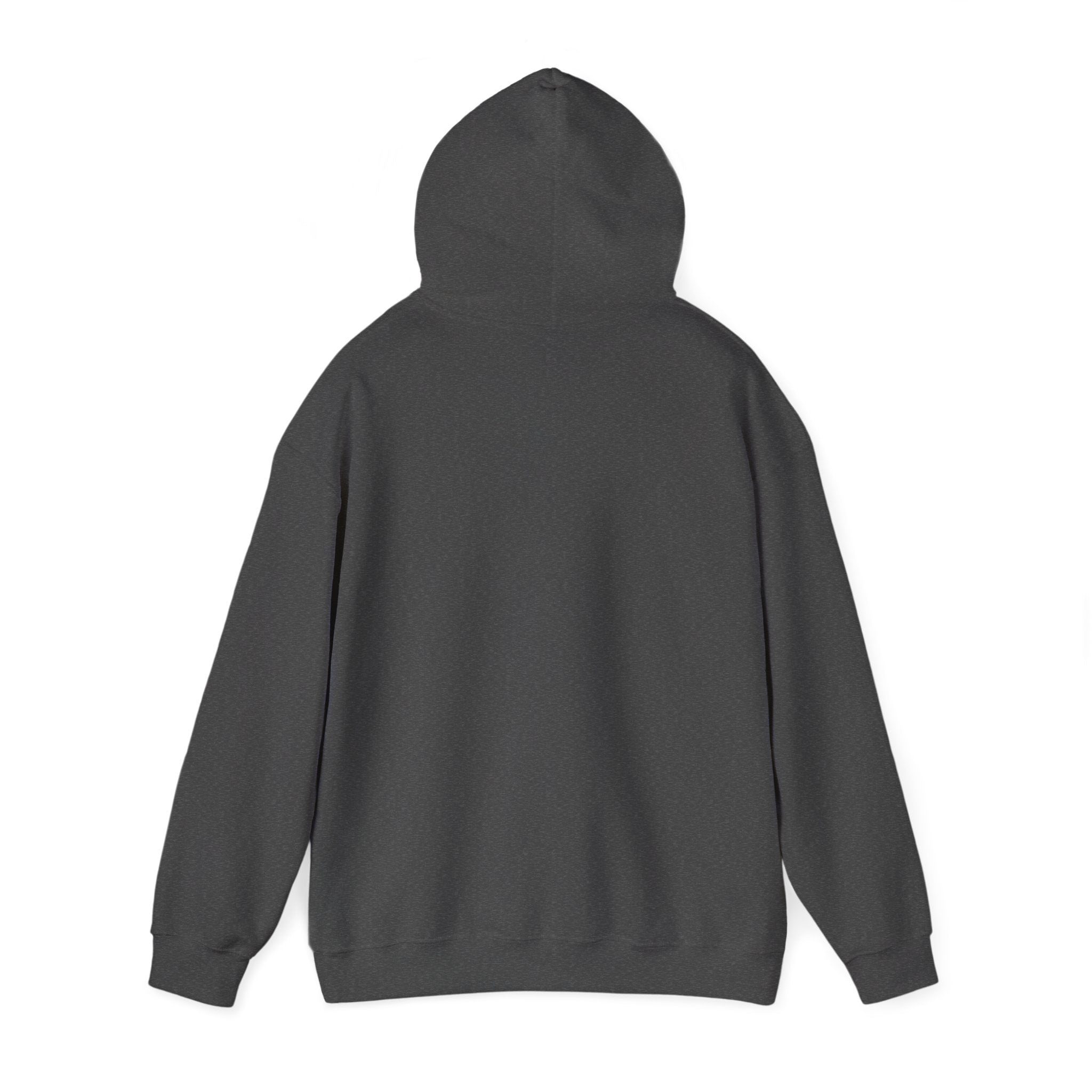 Plain Unisex Heavy Blend™ Hooded Sweatshirt