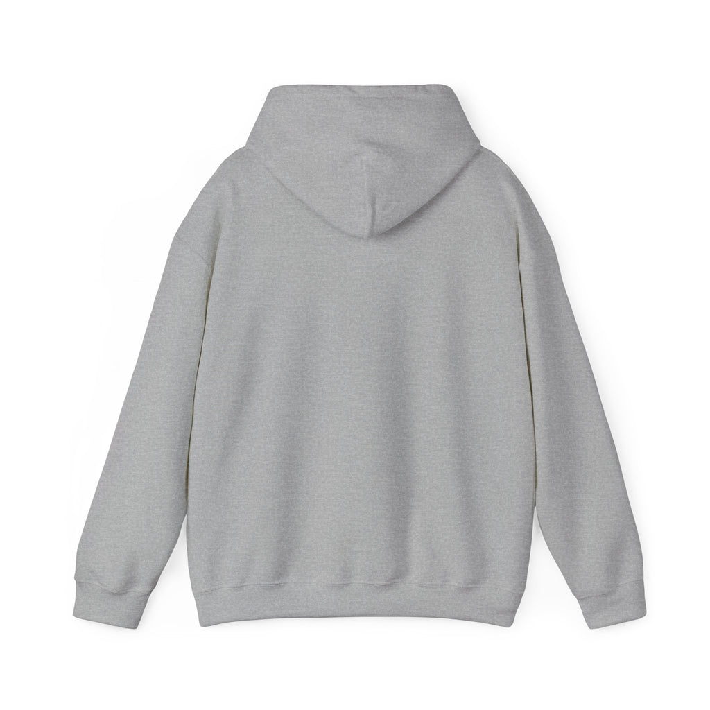 Plain Unisex Heavy Blend™ Hooded Sweatshirt