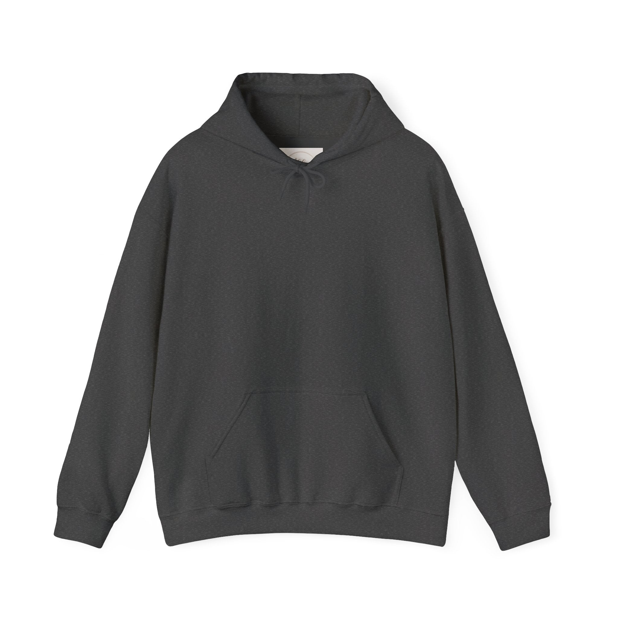 Plain Unisex Heavy Blend™ Hooded Sweatshirt