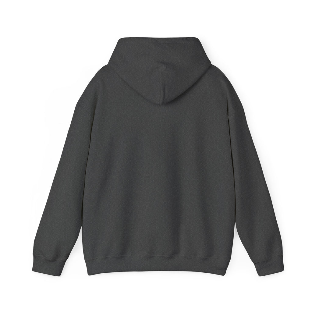 Plain Unisex Heavy Blend™ Hooded Sweatshirt