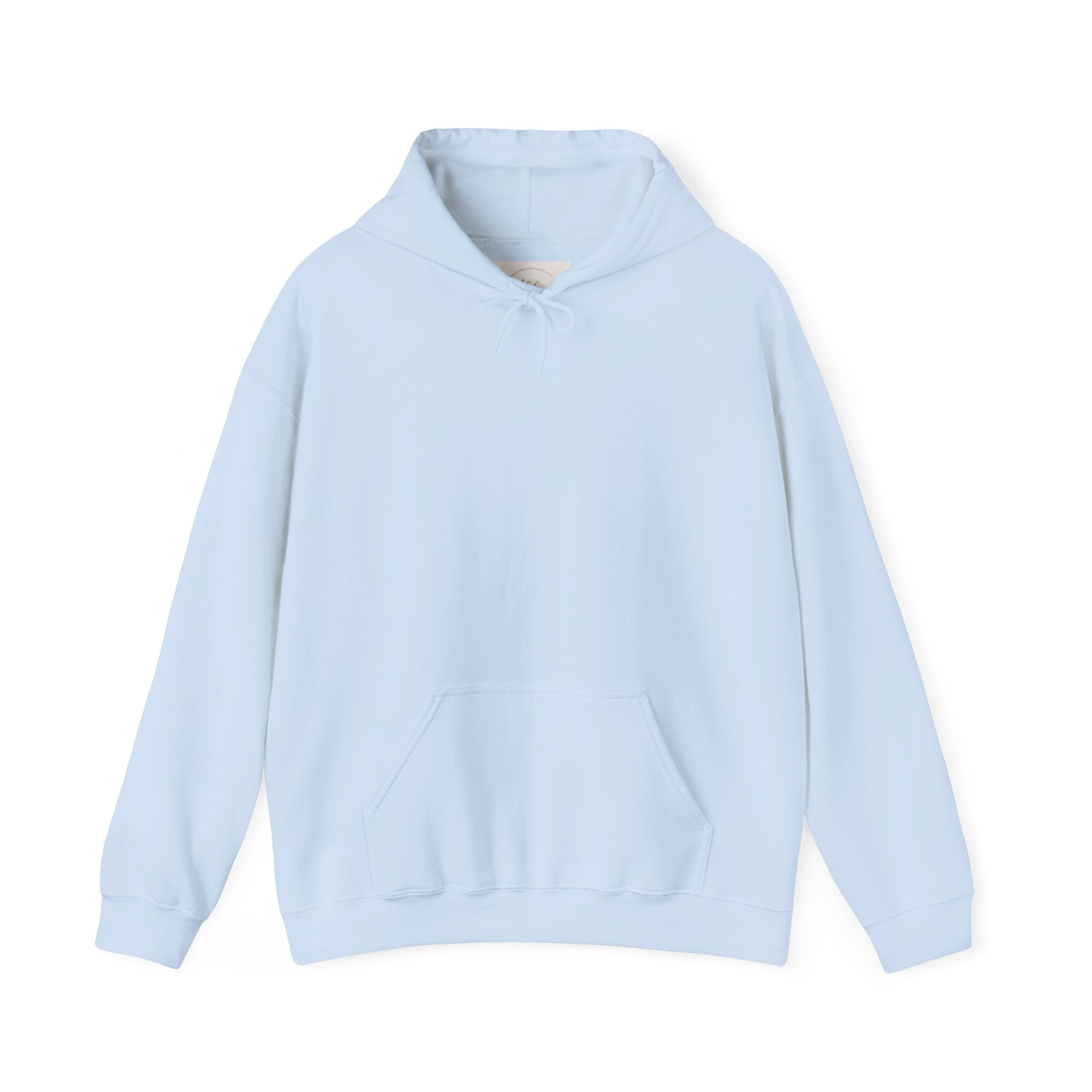 Plain Unisex Heavy Blend™ Hooded Sweatshirt