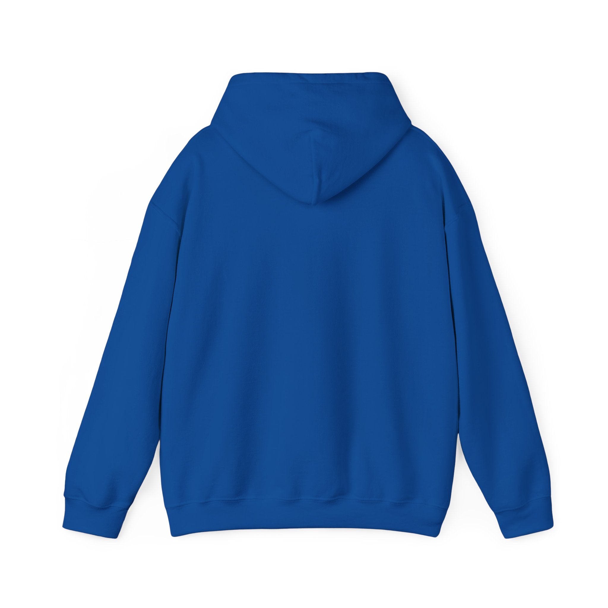Plain Unisex Heavy Blend™ Hooded Sweatshirt