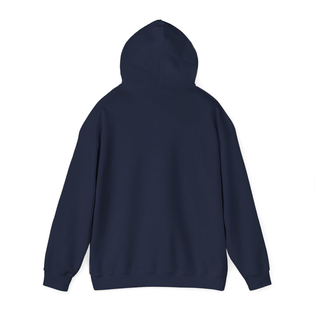 Plain Unisex Heavy Blend™ Hooded Sweatshirt