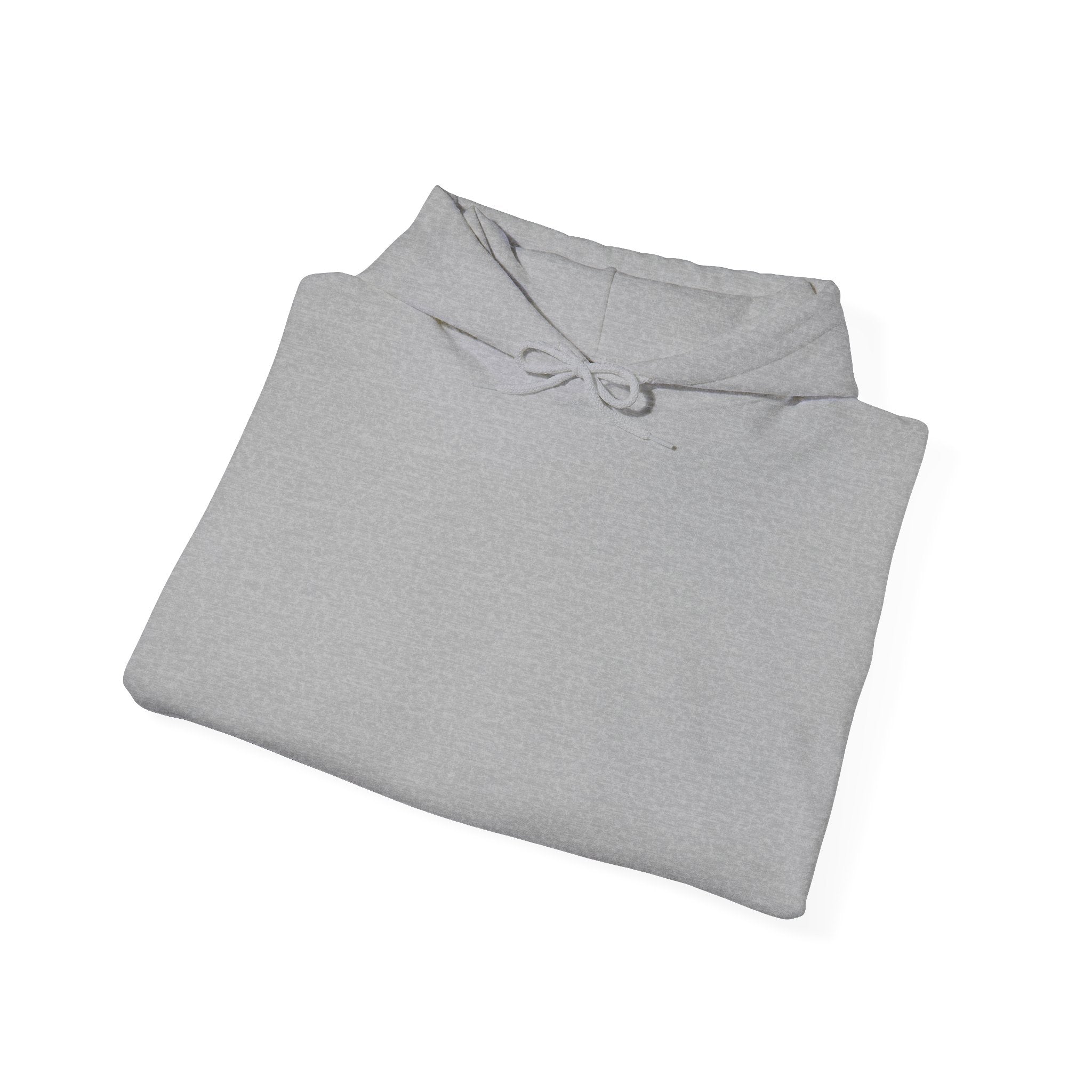 Plain Unisex Heavy Blend™ Hooded Sweatshirt