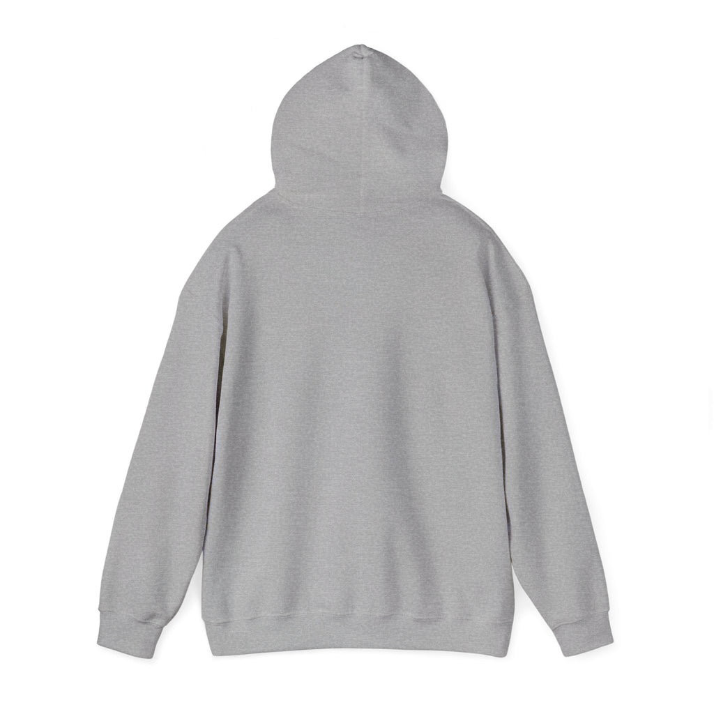 Plain Unisex Heavy Blend™ Hooded Sweatshirt
