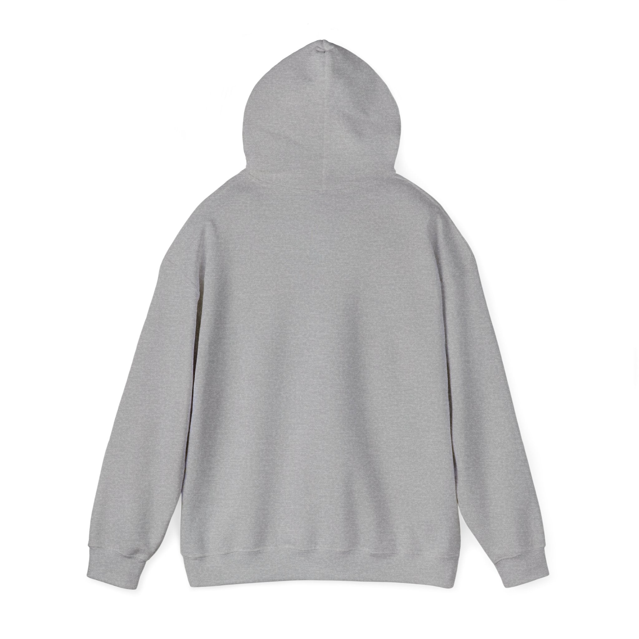 Plain Unisex Heavy Blend™ Hooded Sweatshirt