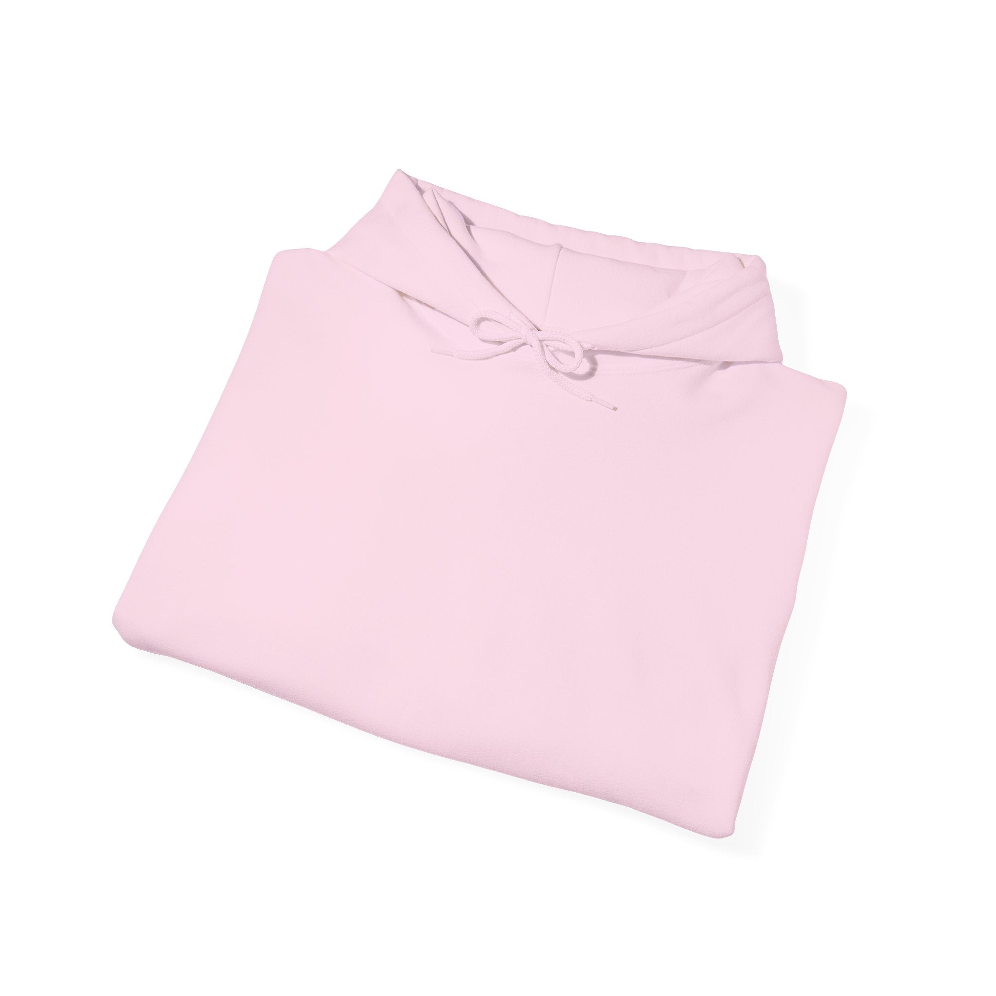 Plain Unisex Heavy Blend™ Hooded Sweatshirt