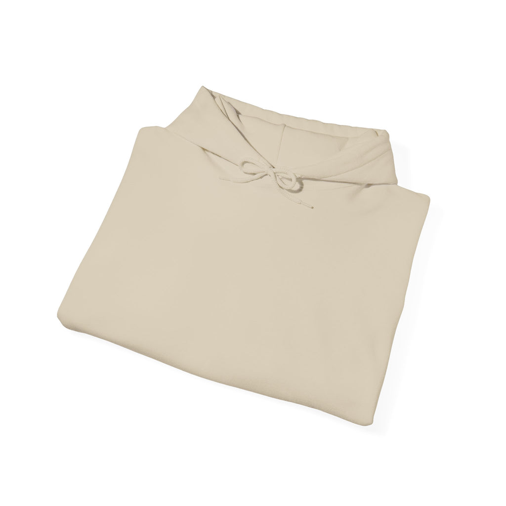 Plain Unisex Heavy Blend™ Hooded Sweatshirt