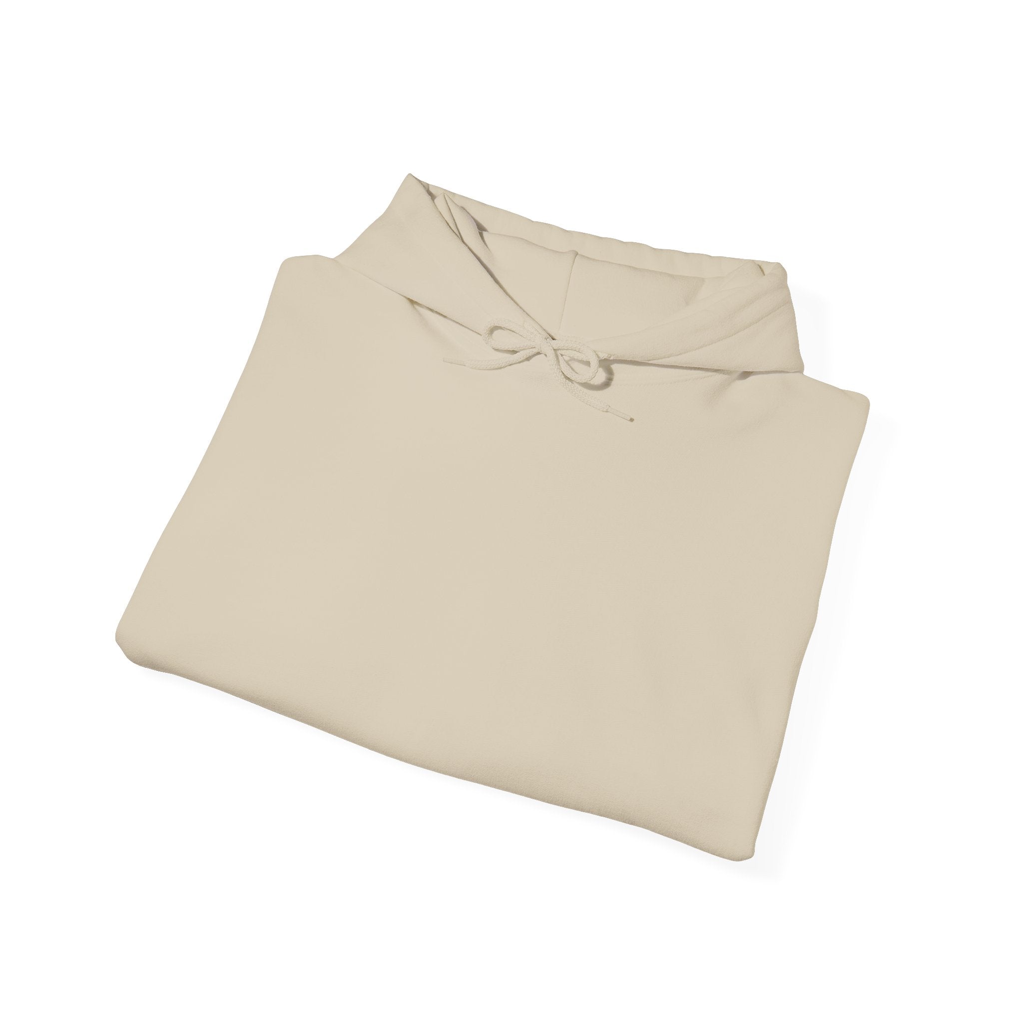 Plain Unisex Heavy Blend™ Hooded Sweatshirt