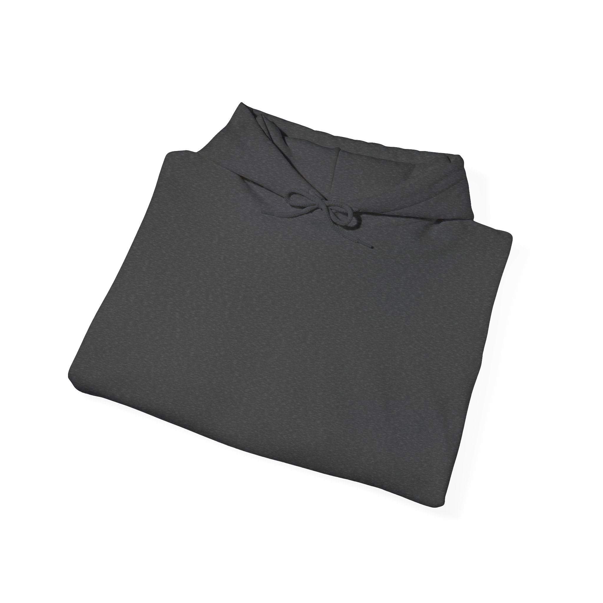 Plain Unisex Heavy Blend™ Hooded Sweatshirt