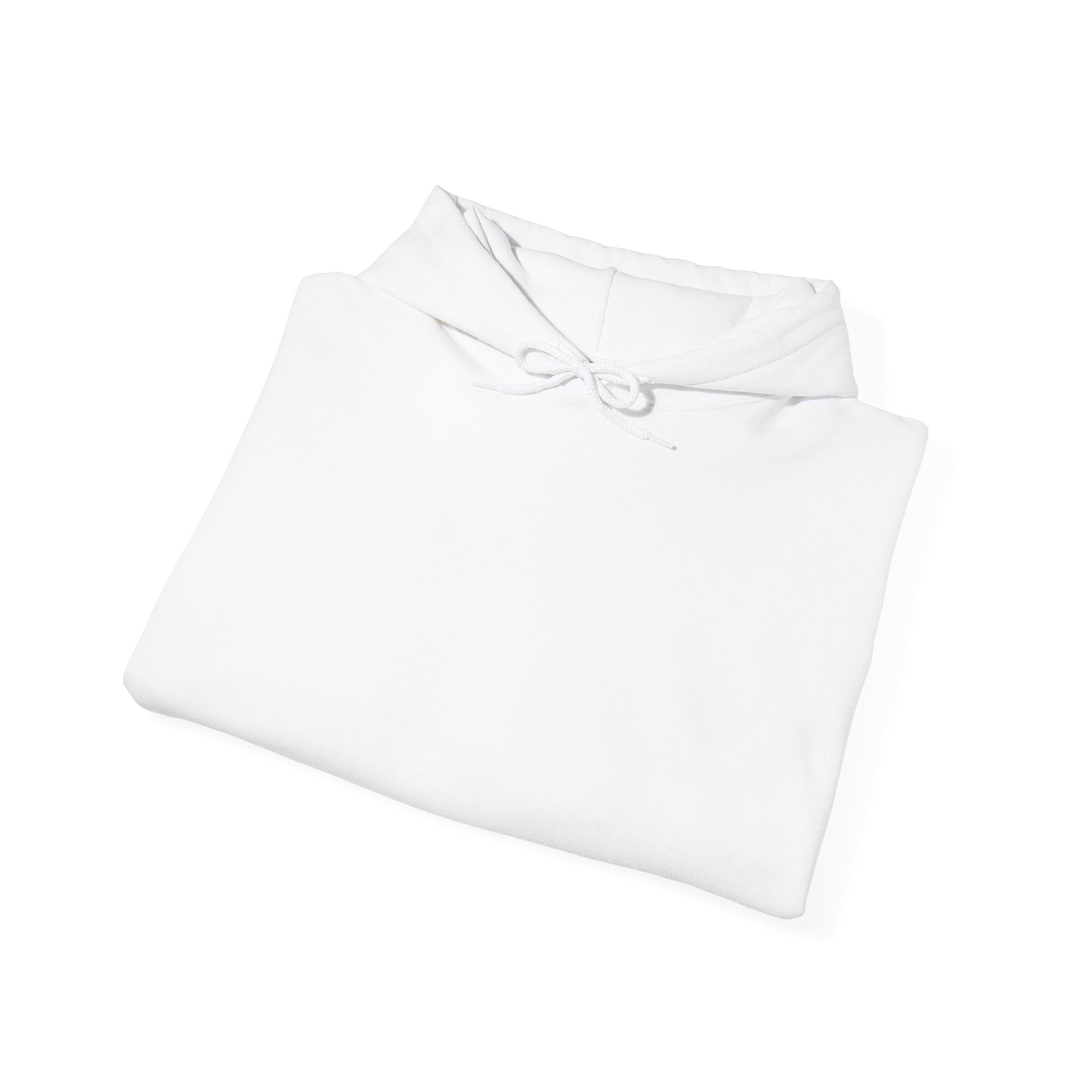 Plain Unisex Heavy Blend™ Hooded Sweatshirt