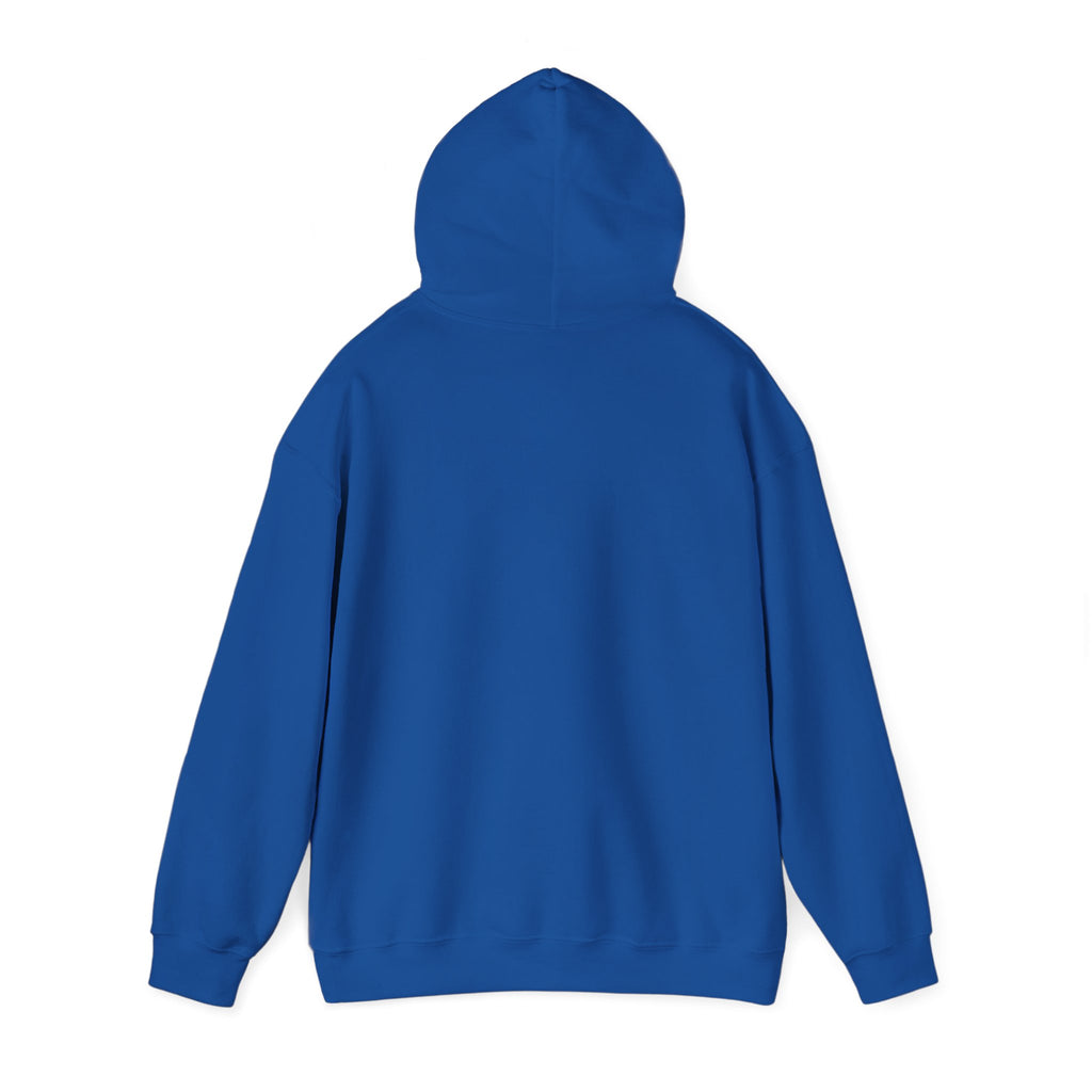 Plain Unisex Heavy Blend™ Hooded Sweatshirt