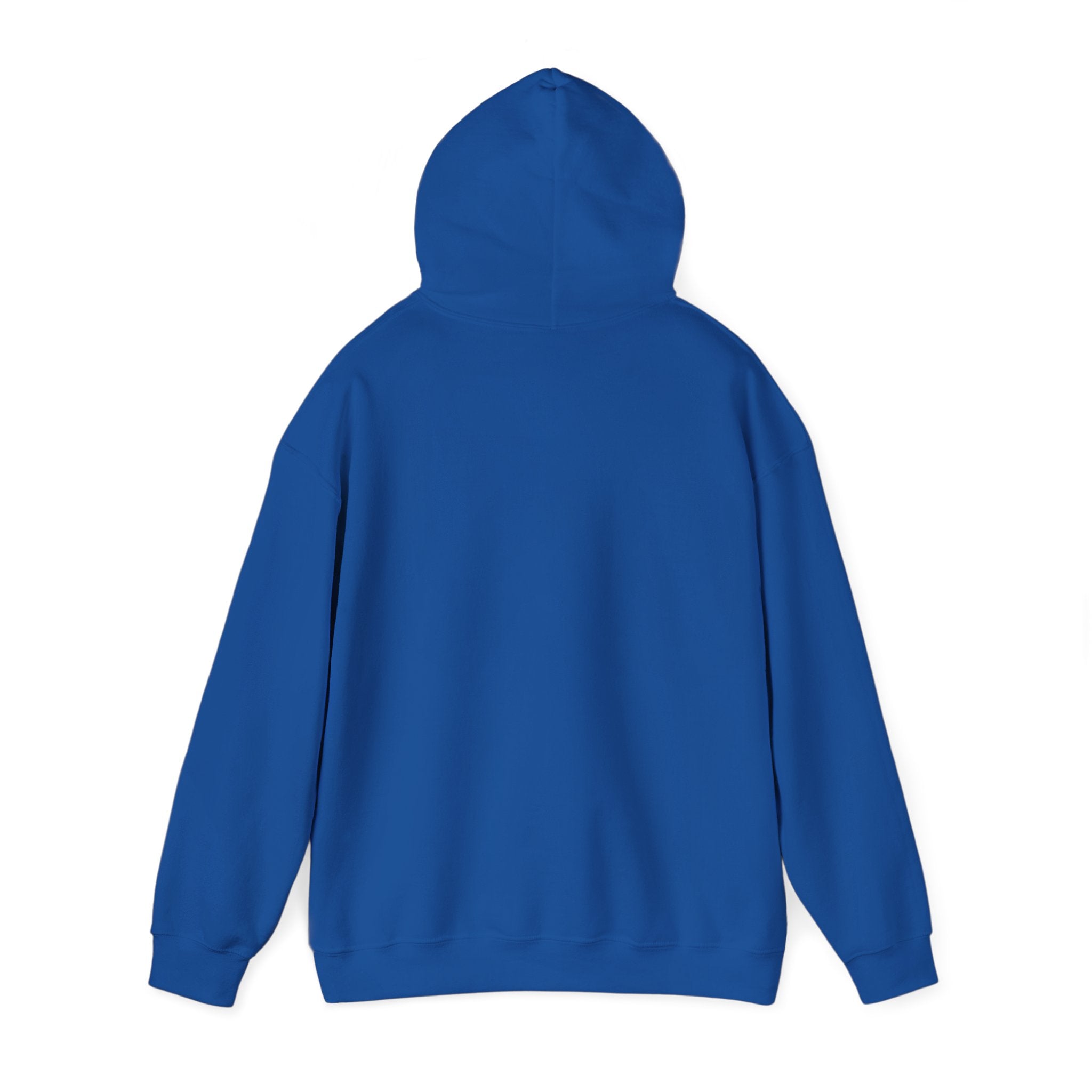 Plain Unisex Heavy Blend™ Hooded Sweatshirt
